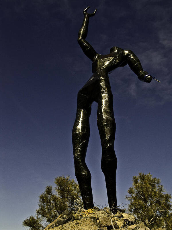 Sculpture Art Print featuring the photograph All Wounded Warriors by Betty Depee
