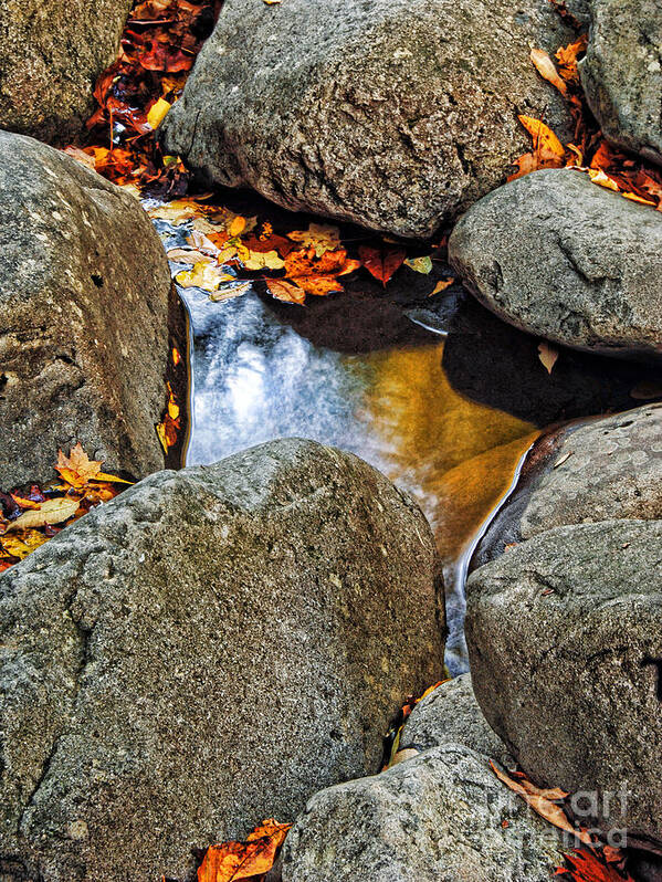 Water Art Print featuring the photograph Autumn Colors Reflected in Pool of Water by Jill Battaglia