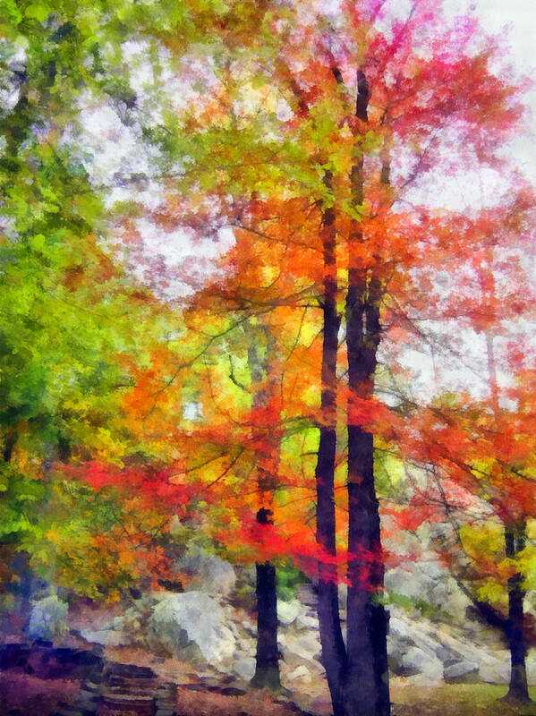 Tree Art Print featuring the photograph Autumnal Rainbow by Angelina Tamez