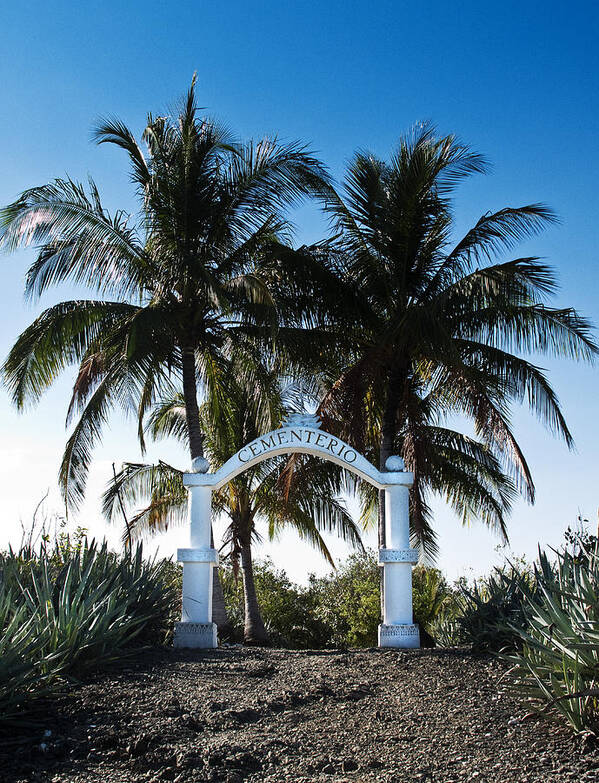 Cemetery Art Print featuring the photograph Cemetery Island by Joe Palermo