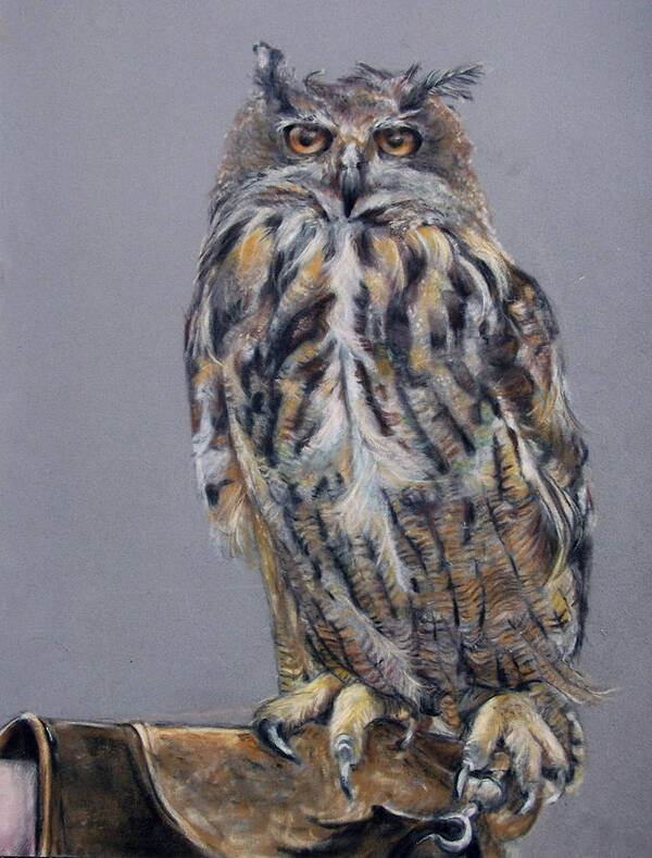 Eagle Owl Art Print featuring the painting Eagle Owl by Tanya Patey