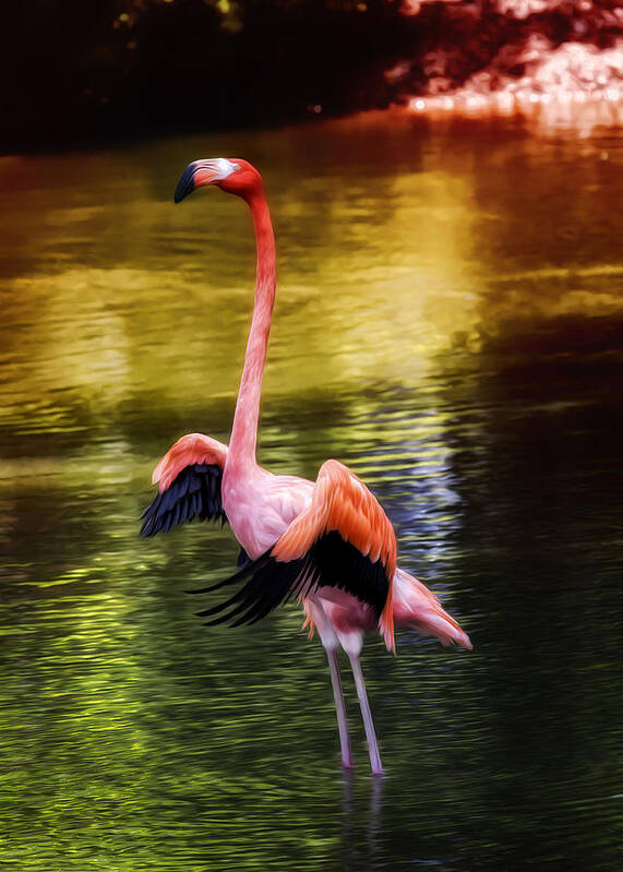 Pink Flamingos Art Print featuring the photograph Flamingo Flow by Bill and Linda Tiepelman