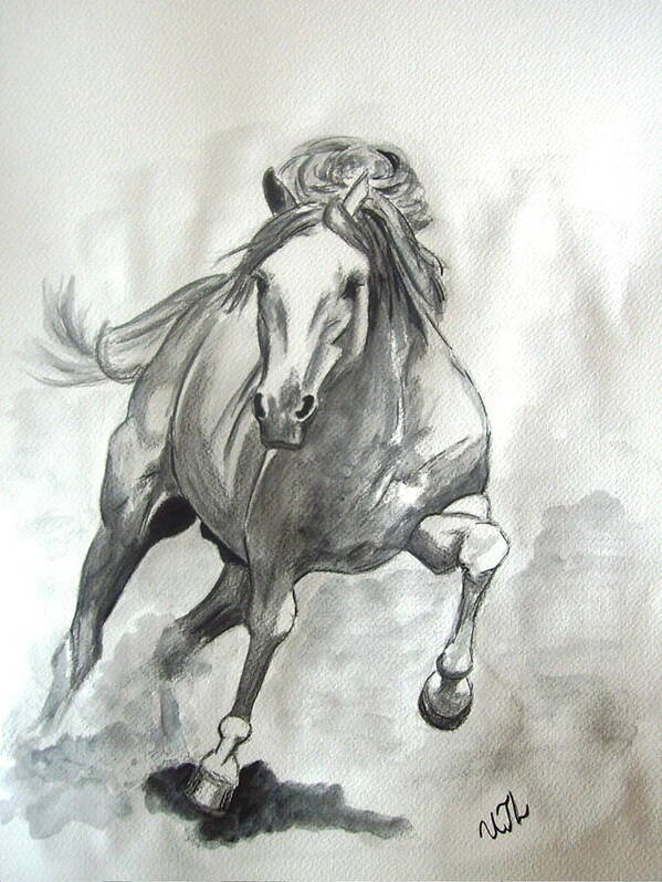 Galloping Horse Illustration Drawing Graphic by Topstar · Creative Fabrica