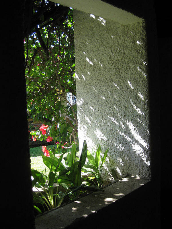 Light And Shadow On White Stucco Wall Art Print featuring the photograph Garden Window by Sarah Hornsby