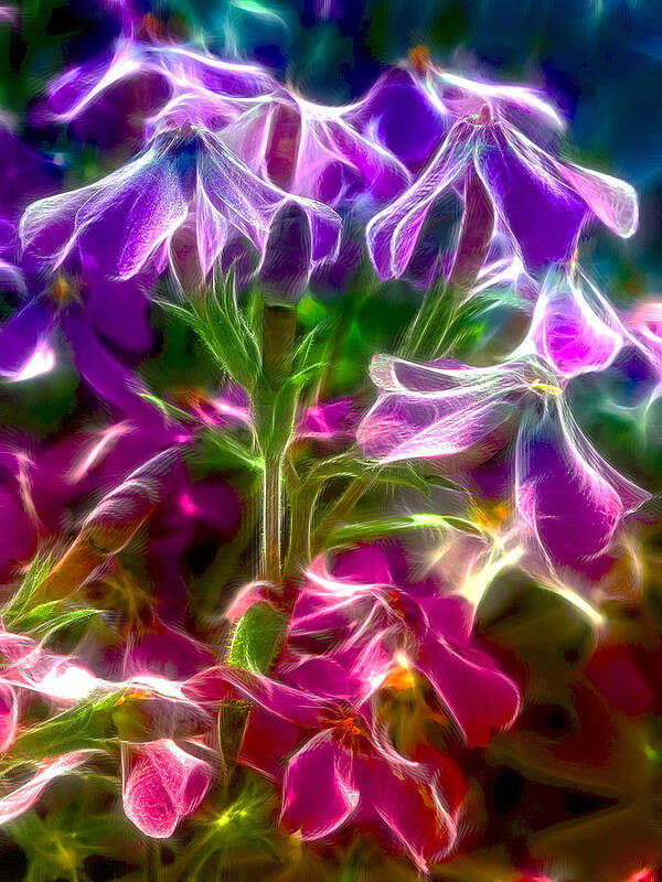 Flowers Art Print featuring the photograph Ghosting Blooms by Bill and Linda Tiepelman