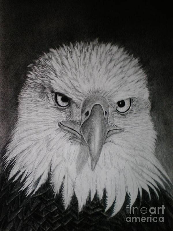 Eagle Art Print featuring the drawing I am watching you by Paula Ludovino
