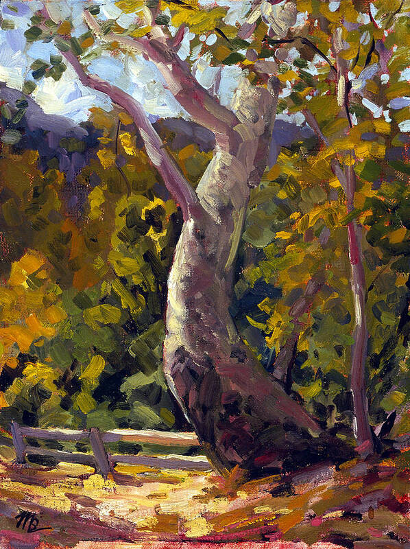 Oil Painting Art Print featuring the painting Irvine Oak by Mark Lunde