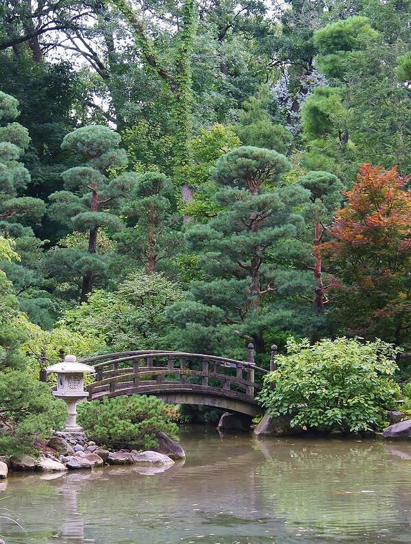 Nature Art Print featuring the photograph Japanese Garden by Bruce Bley