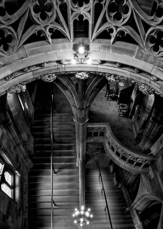 Photography Art Print featuring the photograph Long Way Down by Dave Wood