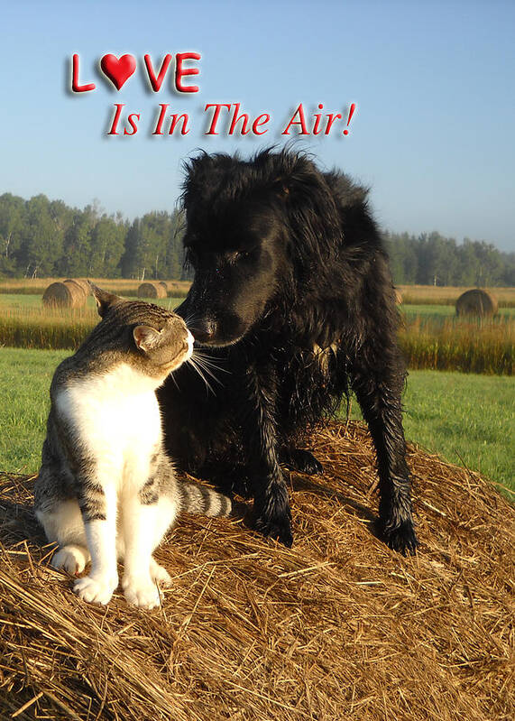 Love Art Print featuring the photograph Love Is In The Air by Kent Lorentzen