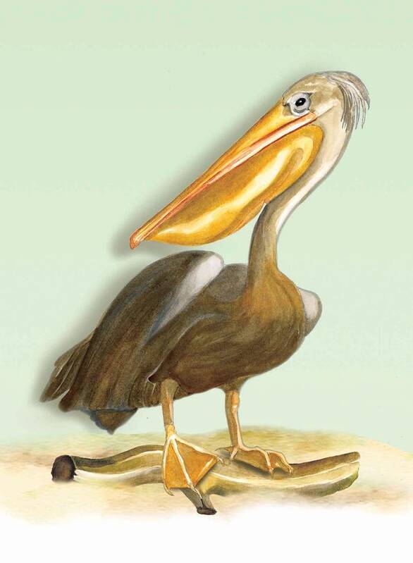 Pelican Beach Art Print featuring the painting Pelican Bill by Anne Beverley-Stamps