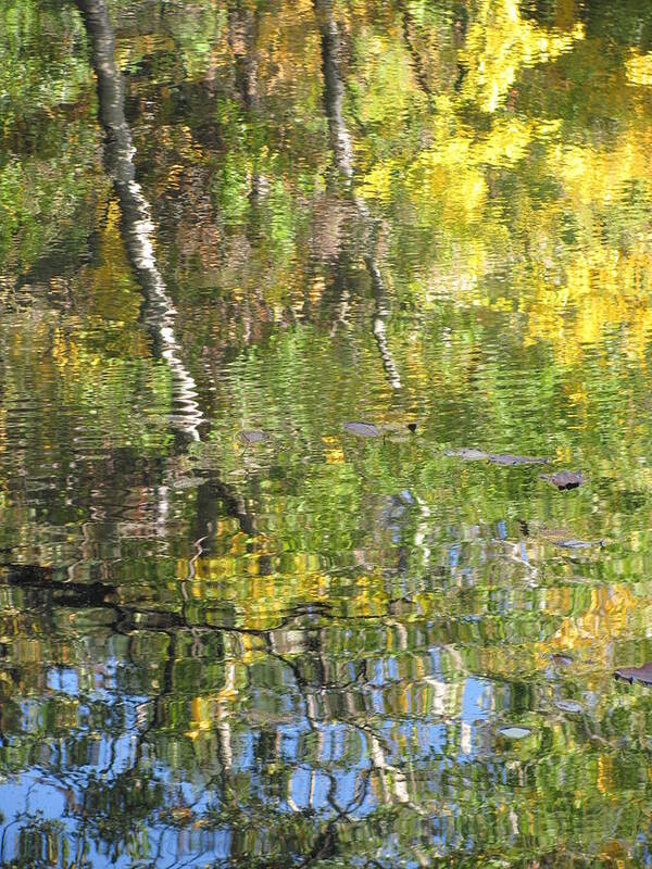 Water Art Print featuring the photograph Reflections in Paradise 1 by Anita Burgermeister