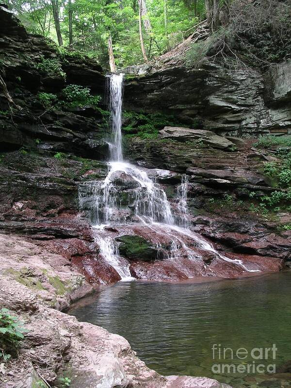 Water Falls Art Print featuring the photograph Ricketts Glen by Mark Messenger