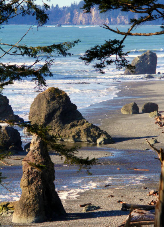 Sea Art Print featuring the photograph Ruby Beach IV by Jeanette C Landstrom
