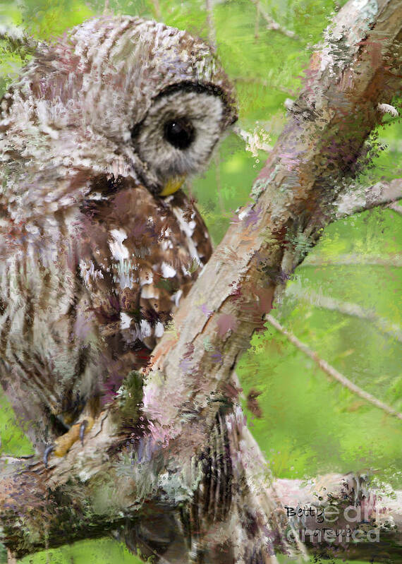 Barred Owl Art Print featuring the photograph Shy by Betty LaRue