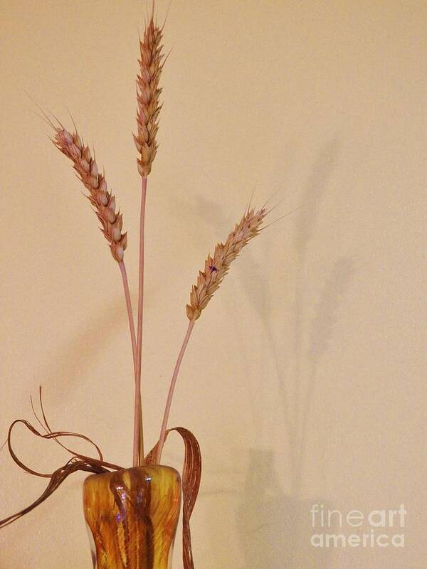Wheat Art Print featuring the photograph Simplicity and Sustenance by Judy Via-Wolff