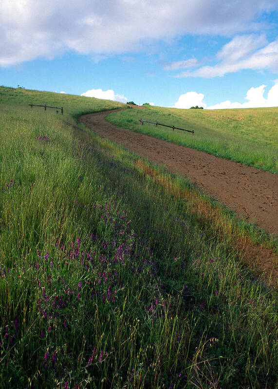 Landscapes Art Print featuring the photograph Spring Road by Kathy Yates