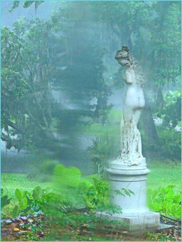 Garden Art Print featuring the photograph Standing in the Rain by Mindy Newman