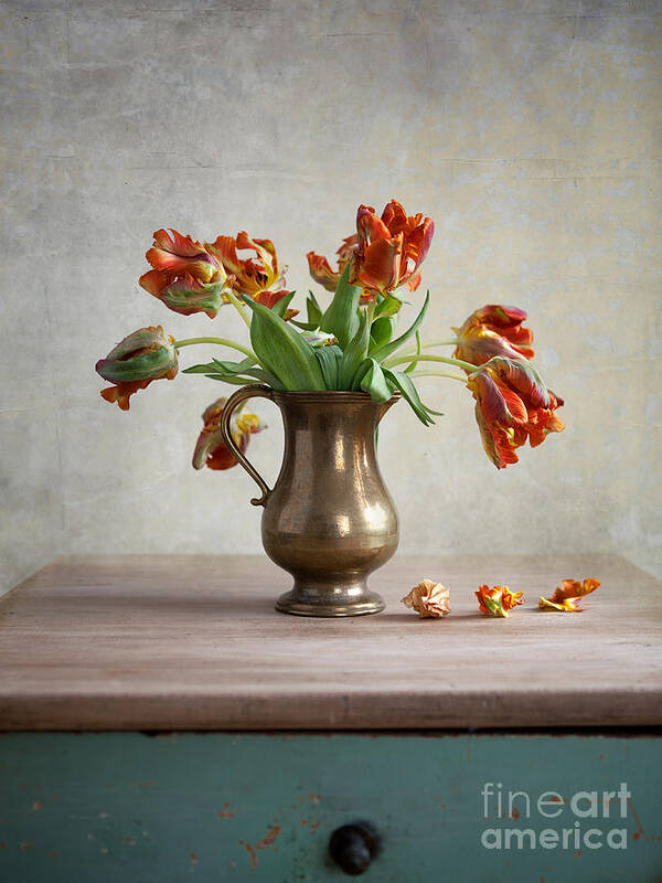 Petals Art Print featuring the photograph Still Life with Tulips by Nailia Schwarz