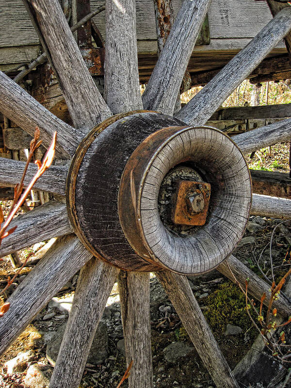 Wheel Art Print featuring the photograph Wagon Wheel by Fred Denner