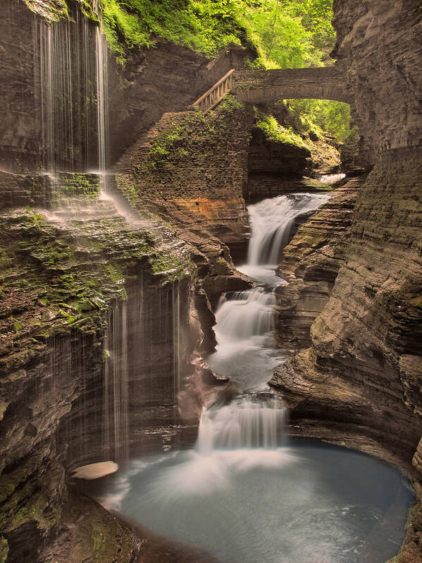 Watkins Glen Art Print featuring the photograph Watkins Glen Gorge by Cindy Haggerty