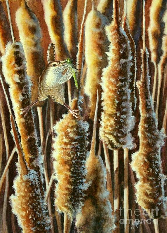 Wren Art Print featuring the painting Wren and Cattails 2 by Greg and Linda Halom