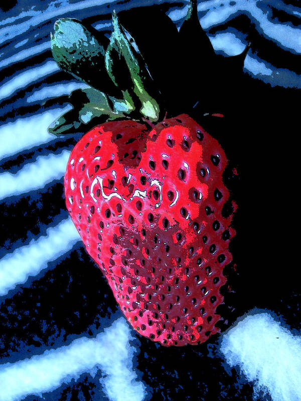 Strawberry Art Print featuring the photograph Zebra Strawberry by Kym Backland
