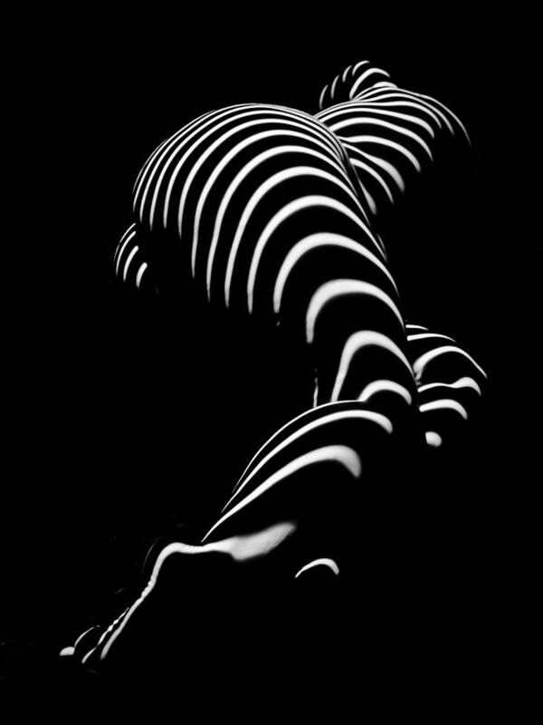 Art Art Print featuring the photograph 0774-AR Zebra Striped Figure of a Large Woman Fine Art Photograph by Chris Maher by Chris Maher