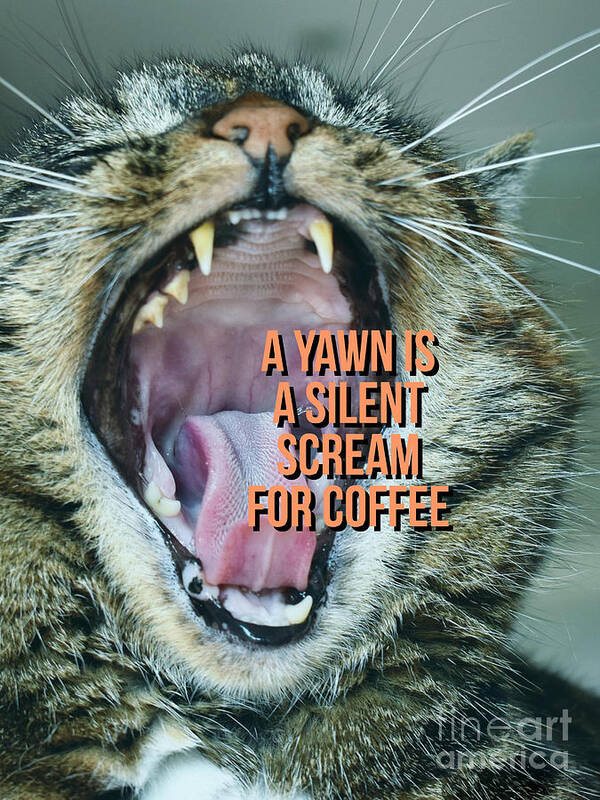Yawn Art Print featuring the photograph A yawn is a silent scream for coffee #2 by Edward Fielding