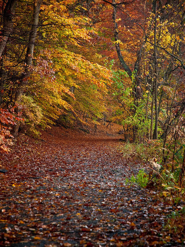Autumn Art Print featuring the photograph Autumn Trail #1 by Jim DeLillo