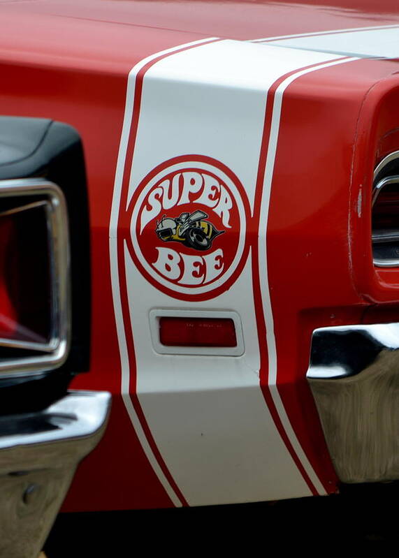  Art Print featuring the photograph Red Super Bee #1 by Dean Ferreira