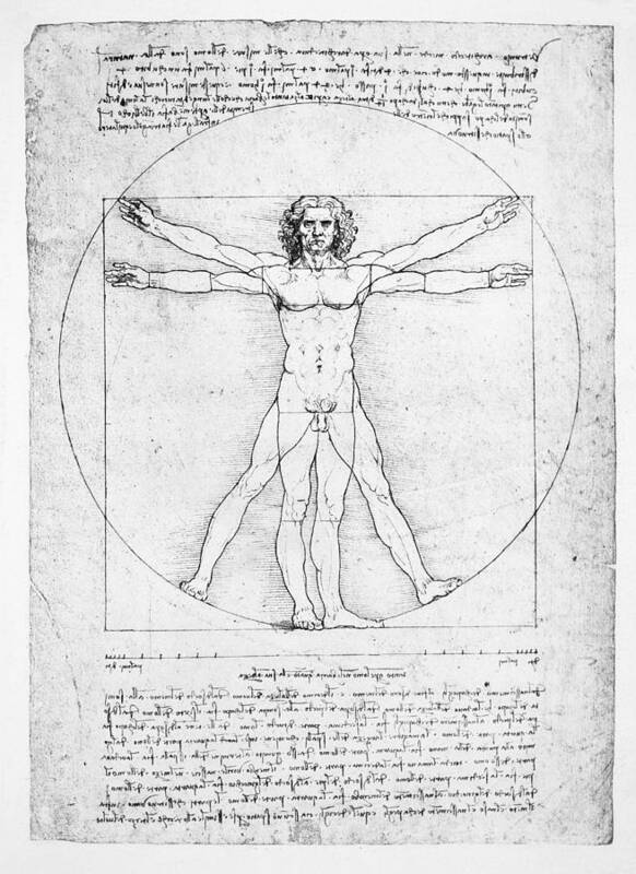 Leonardo Da Vinci Art Print featuring the drawing The Proportions of the human figure by Leonardo Da Vinci