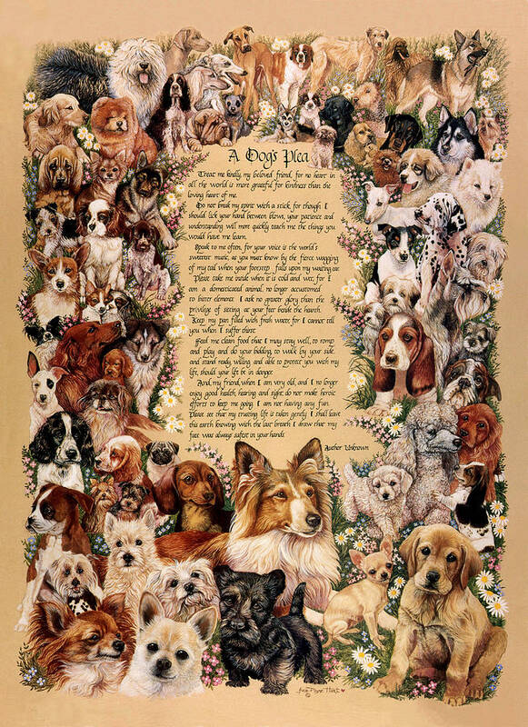 Dogs Art Print featuring the painting A Dogs Plea by June Payne Hart