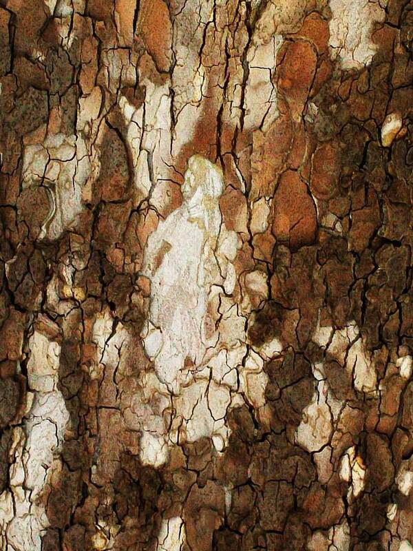 Photo Art Print featuring the photograph Abstract Tree Bark by Marsha Heiken