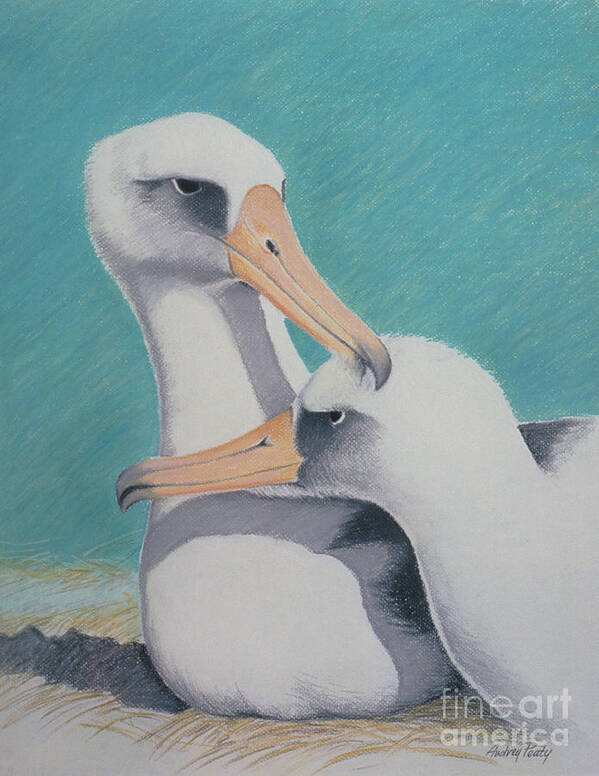 Albatros Art Print featuring the pastel Albatros Love by Audrey Peaty