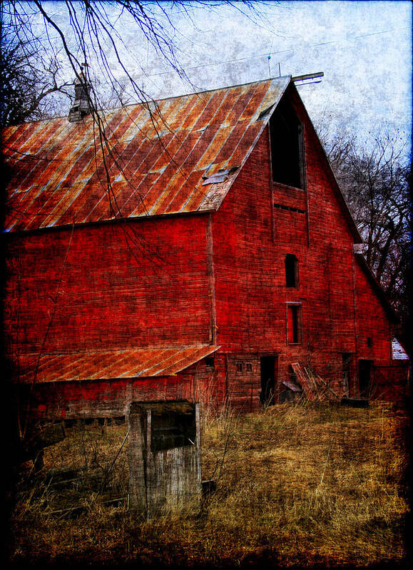 Barn Art Print featuring the photograph Almost Gone by Julie Lueders 