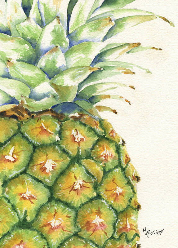 Aloha Hawaii Islands Plant Fruit Pineapple Nature Juicy Tropical Art Print featuring the painting Aloha by Marsha Elliott