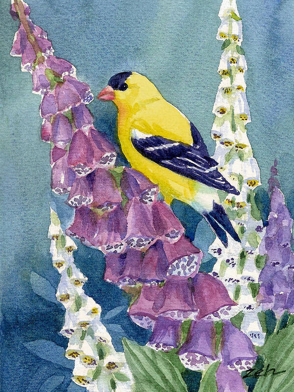 Goldfinch Art Print featuring the painting American Goldfinch and Foxgloves by Janet Zeh