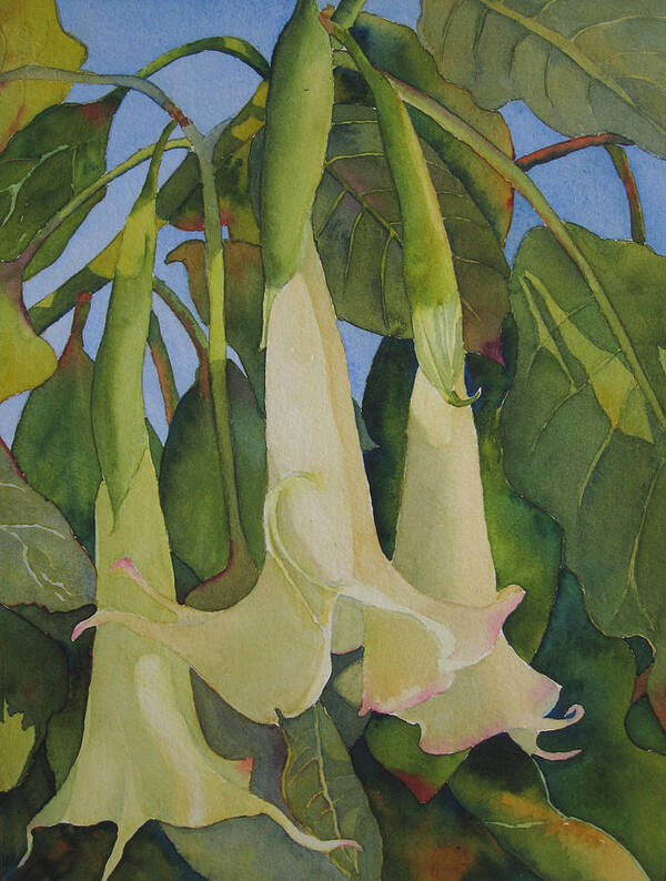 Angel Trumpets Art Print featuring the painting Angels by Judy Mercer