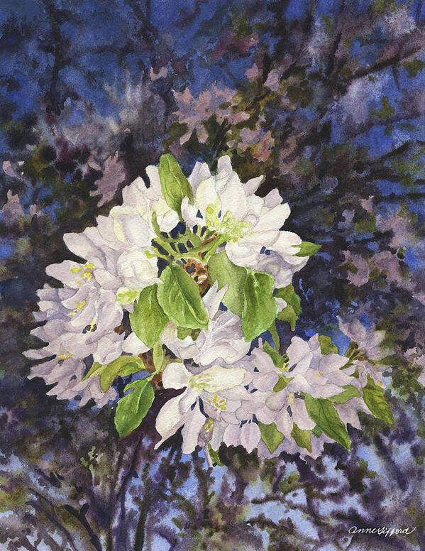 Apple Blossom Painting Art Print featuring the painting Apple Blossoms at Dusk by Anne Gifford