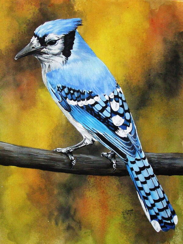 Common Bird Art Print featuring the painting Aristocrat by Barbara Keith