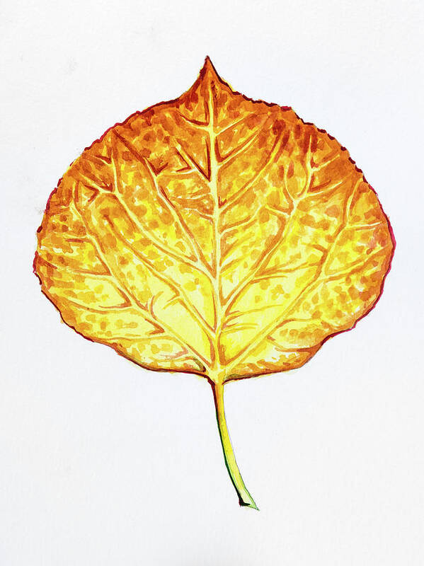 Orange Art Print featuring the painting Aspen Leaf - Orange and Yellow by Aaron Spong