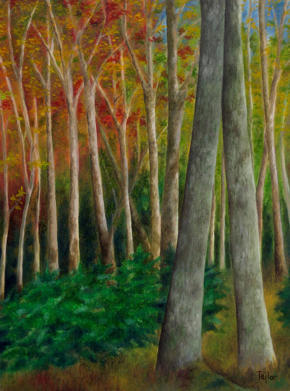 Autumn Art Print featuring the painting Autumn Contrast by FT McKinstry
