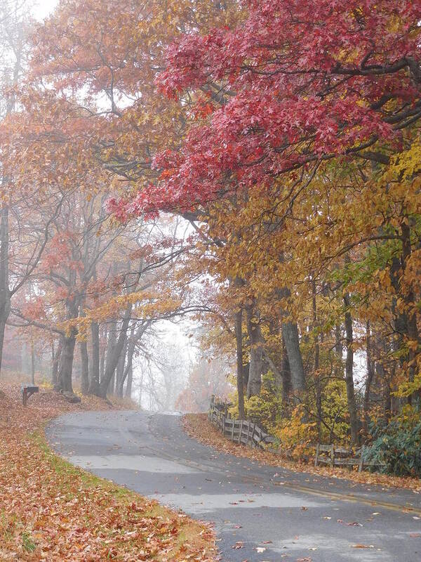Autumn Art Print featuring the photograph Autumn Glory by Diannah Lynch