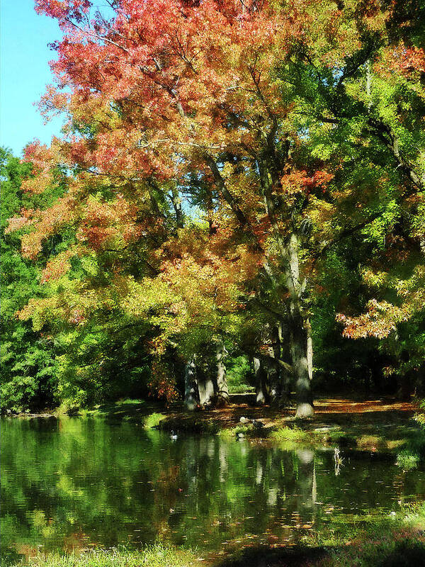 Lake Art Print featuring the photograph Autumn Reflections by Susan Savad