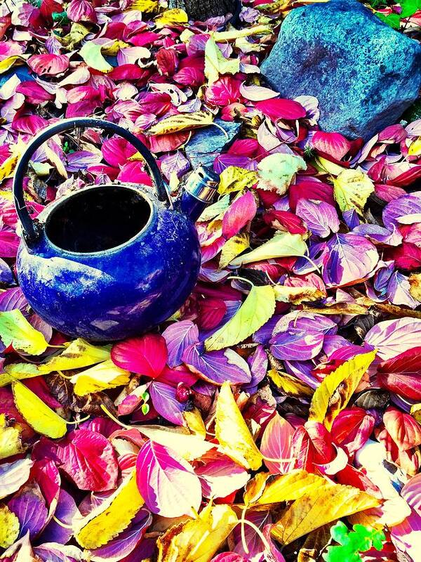 Tea Pot Art Print featuring the photograph Autumn Tea by Brad Hodges