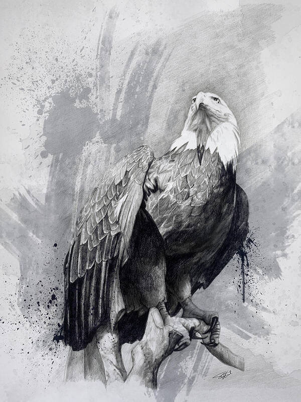 Bald Eagle Drawing America United States Patriotism Fine - Etsy Australia