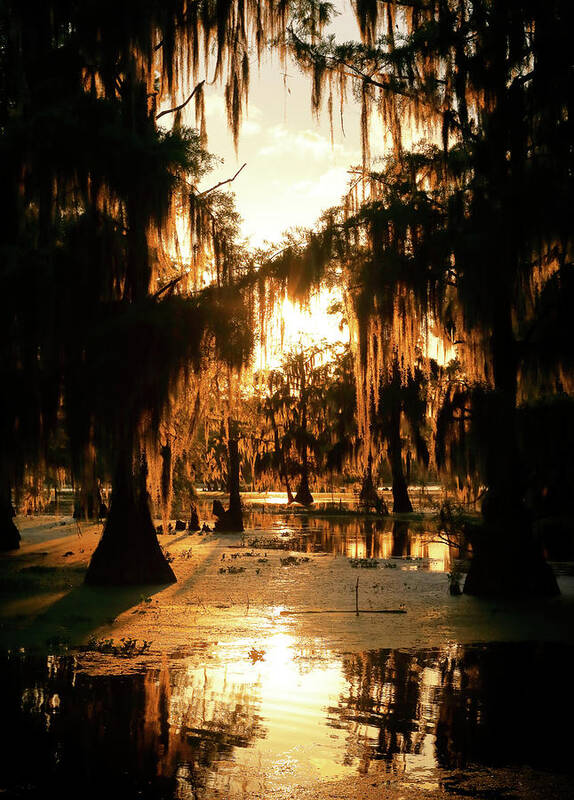 Fire Art Print featuring the photograph Bayou Fire by Nicholas Blackwell