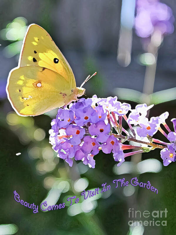 Butterfly Art Print featuring the photograph Beauty Comes To Visit by Barbara Dean