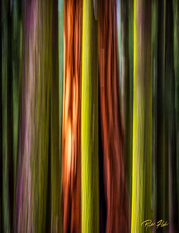 Plants Art Print featuring the photograph Big Trees Abstract by Rikk Flohr